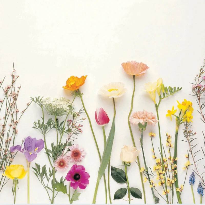 <font color="#8ec3d6">May</font>